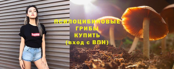 амфетамин Алексеевка