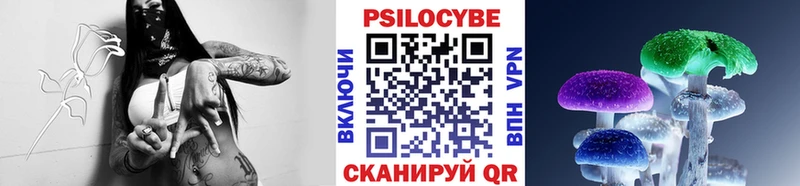 где купить наркотик  hydra ONION  Псилоцибиновые грибы Psilocybe  Родники 