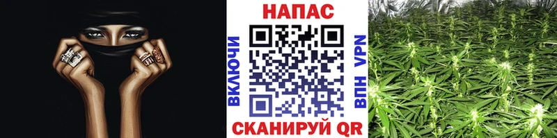 Бошки Шишки план  продажа наркотиков  Родники 